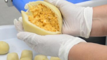 produção de coxinha de frango maquina formadora de salgados