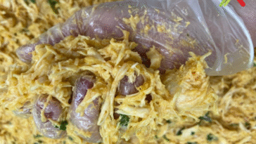 recheio de frango para salgados bralyx