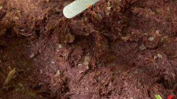 recheio carne seca bralyx