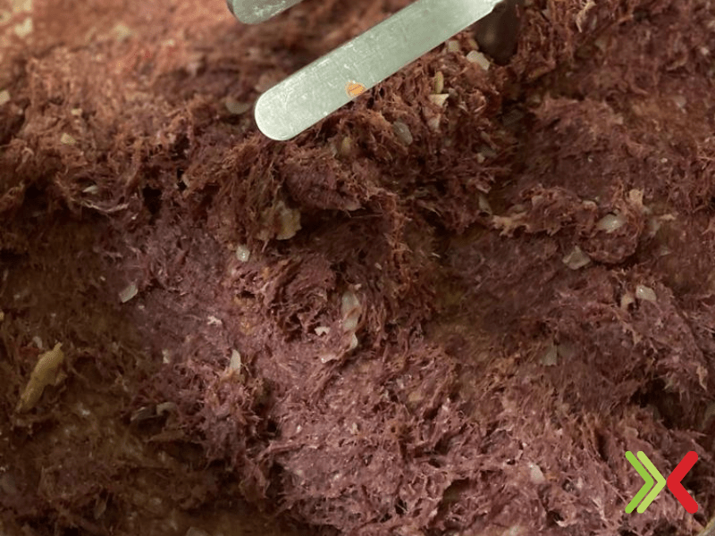 recheio carne seca bralyx