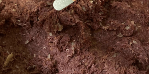 recheio carne seca bralyx